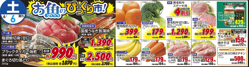 6/6土　日替わり