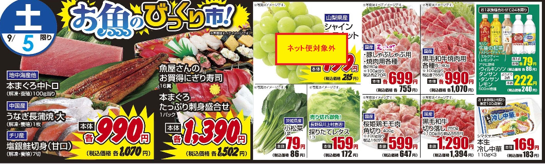 9/5土　日替わり