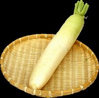 大根（だいこん）
