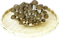 長野県産他 ぶなしめじ １パック