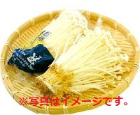 信州産 えのき茸 1パック
