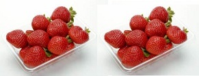 静岡、他 いちご 2パック