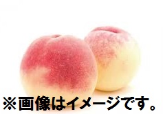 山梨産他 桃 1パック