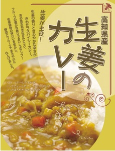 高知県特産品販売 生姜のカレー 200g