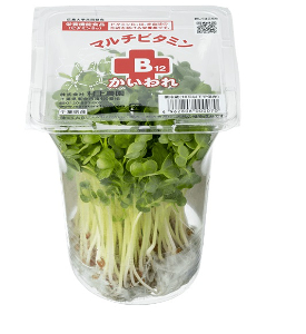 マルチビタミンB12かいわれ