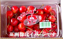 山形県産他 さくらんぼ 1パック