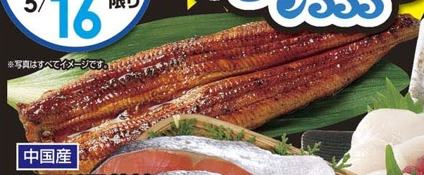 中国産 ●うなぎ長蒲焼（解凍・養殖） ２枚