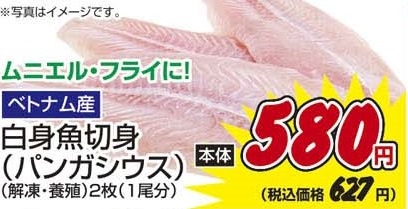ベトナム産 ●白身魚切身（パンガシウス）解凍・養殖 ２枚（１尾分）