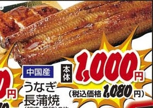 中国産 ●うなぎ長蒲焼(解凍・養殖) 2枚