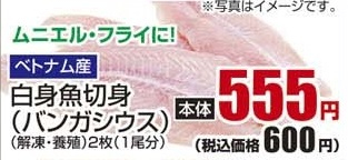 ベトナム産 ●白身魚切身(パンガシウス)解凍・養殖 2枚(1尾分)