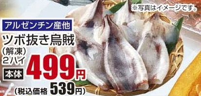 アルゼンチン産ほか ●ツボ抜き烏賊(解凍) 2ハイ