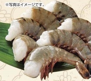 インド産ほか ●ブラックタイガー海老（解凍・養殖） １６尾