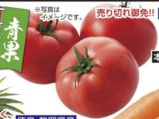 熊本県産 ●トマト小箱 1箱