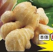 千葉県産 ●近江生姜 1袋