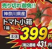 神奈川県産 ●トマト小箱 1箱