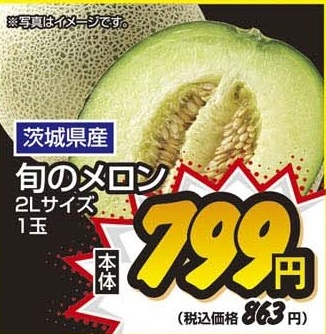 茨城県産 ●旬のメロン 2Lサイズ　1玉