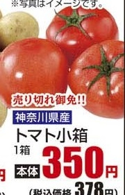 神奈川県産 ●トマト小箱 1箱