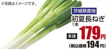 茨城県産ほか ●初夏長ねぎ 1束