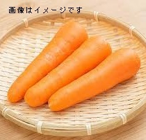 千葉県産 ●野島さんの新にんじん 1袋