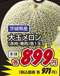 茨城県産 ●大玉メロン 青肉 1玉