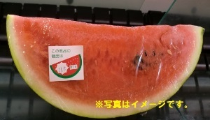 熊本産ほか ●カットすいか １/16カット