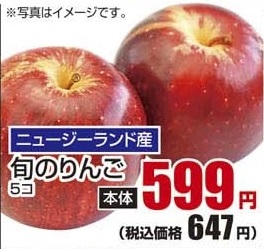 ニュージーランド産 ●旬のりんご 5個