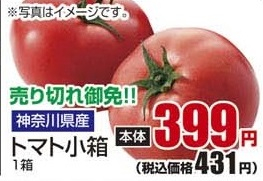 神奈川県産 ●トマト小箱 1箱