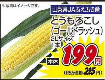 山梨県JAふえふき産 ●とうもろこし ゴールドラッシュ 2Lサイズ1本