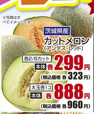 茨城県産 ●カットメロン　アンデス 大玉１個