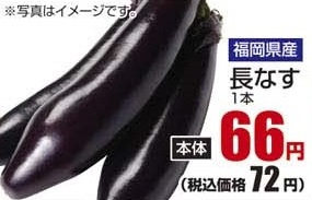 福岡県産 ●長なす １本