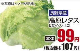 長野県産 ●高原レタス L１個