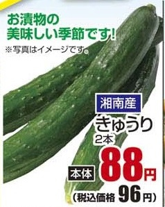 湘南産 ●きゅうり 2本