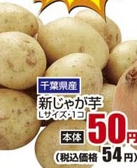 千葉県産 ●新じゃがいも L1個