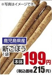 鹿児島県産 ●新ごぼう １袋