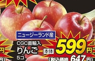 ニュージーランド産 CGC直輸入 ●りんご 5個