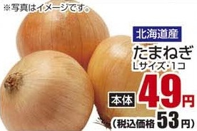 北海道産 ●たまねぎ Lサイズ 1個