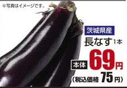 茨城県産 ●長なす 1本