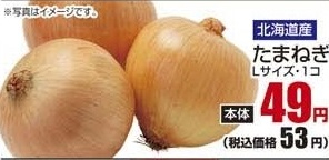 北海道産 ●たまねぎ Lサイズ1個
