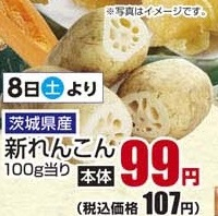茨城県産 ●新れんこん 250ｇ