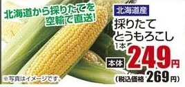 北海道直送 ●採りたてとうもろこし １本