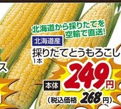 北海道直送 ●採りたてとうもろこし 1本
