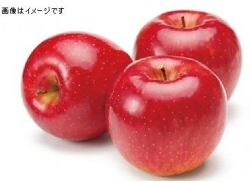 CGC直輸入ニュージーランド産 ●りんご 5個