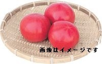 青森県産 ●トマト小箱 1箱