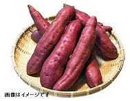 香川県産 ●金時芋 1袋