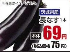 茨城県産 ●長なす 1本