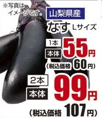 山梨県産 ●なす Lサイズ2本