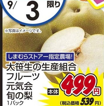 大笹生の生産組合フルーツ元気会 ●旬の梨 1パック