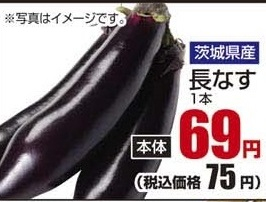 茨城県産 ●長なす 1本