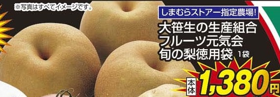 大笹生の生産組合フルーツ元気会 ●旬の梨徳用袋 1袋