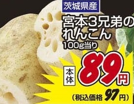 茨城県産 ●宮本3兄弟のれんこん 250g